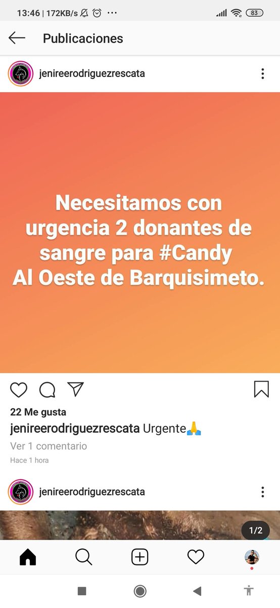 margararamos's tweet photo. Urgente en Barquisimeto, se necesitan dos perritos donantes para ayudar a Candy. En la foto info del caso y datos de la proteccionista @barquisimeto @HoyEnBarQto @LaMega103 @NoticiasBqto @DUINCONSUELOC @Mary_Jar @adelfia13 @CarmenZR04 @Ma_Elisa_G https://t.co/K1UREv2m5y