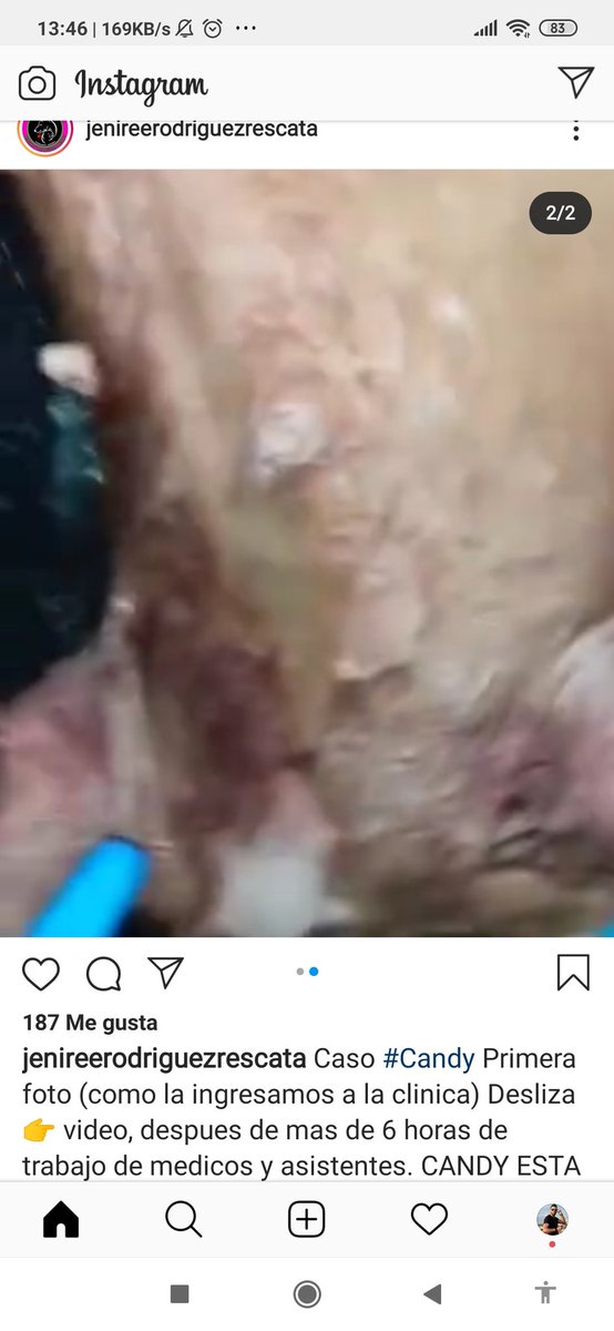 margararamos's tweet photo. Urgente en Barquisimeto, se necesitan dos perritos donantes para ayudar a Candy. En la foto info del caso y datos de la proteccionista @barquisimeto @HoyEnBarQto @LaMega103 @NoticiasBqto @DUINCONSUELOC @Mary_Jar @adelfia13 @CarmenZR04 @Ma_Elisa_G https://t.co/K1UREv2m5y