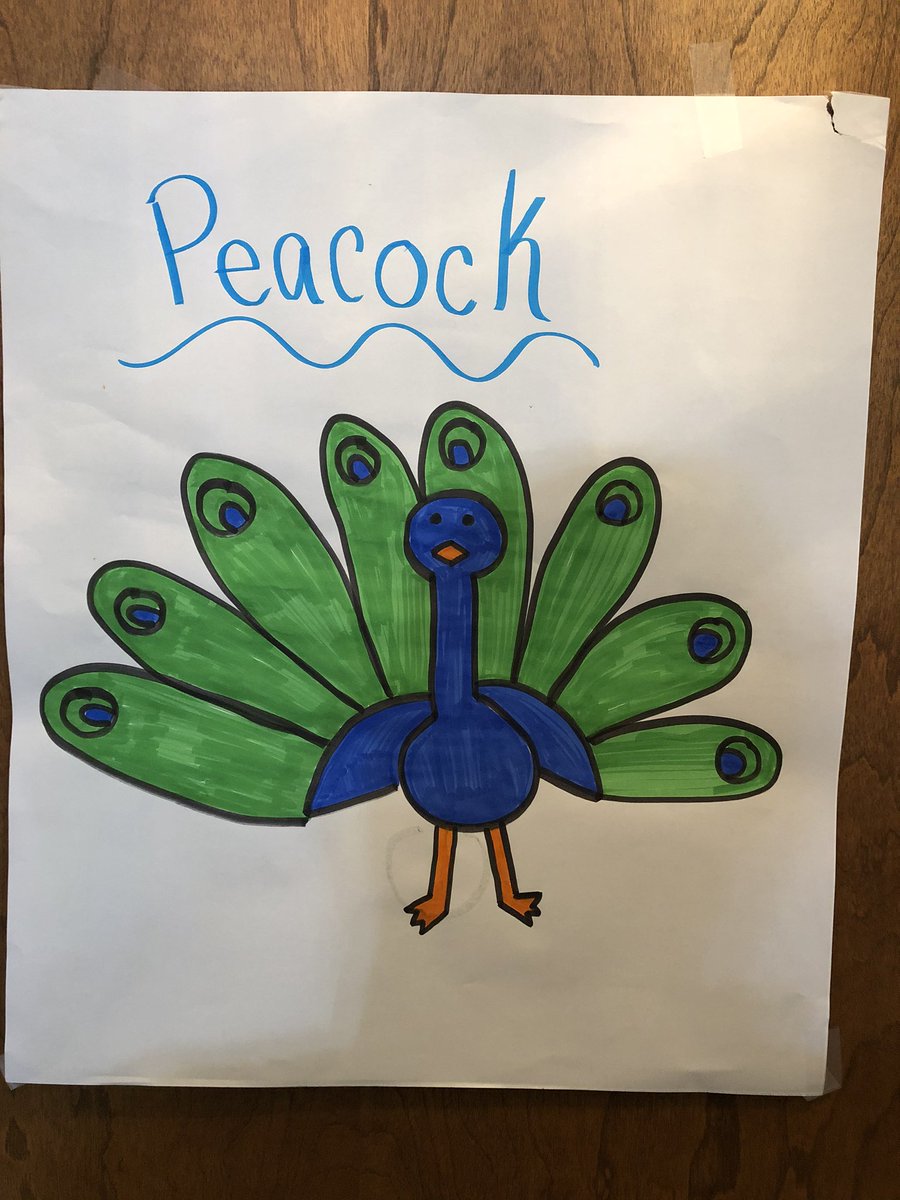 MissGardnerFES's tweet photo. During small group zoom meetings this week we learned about various animal life cycles followed by some fun with directed drawings! 🦚🐢🐸#amphibians #reptiles #birds #fish #eLearning #science #TeamFES #WeRMV https://t.co/hQrWGeEDUR