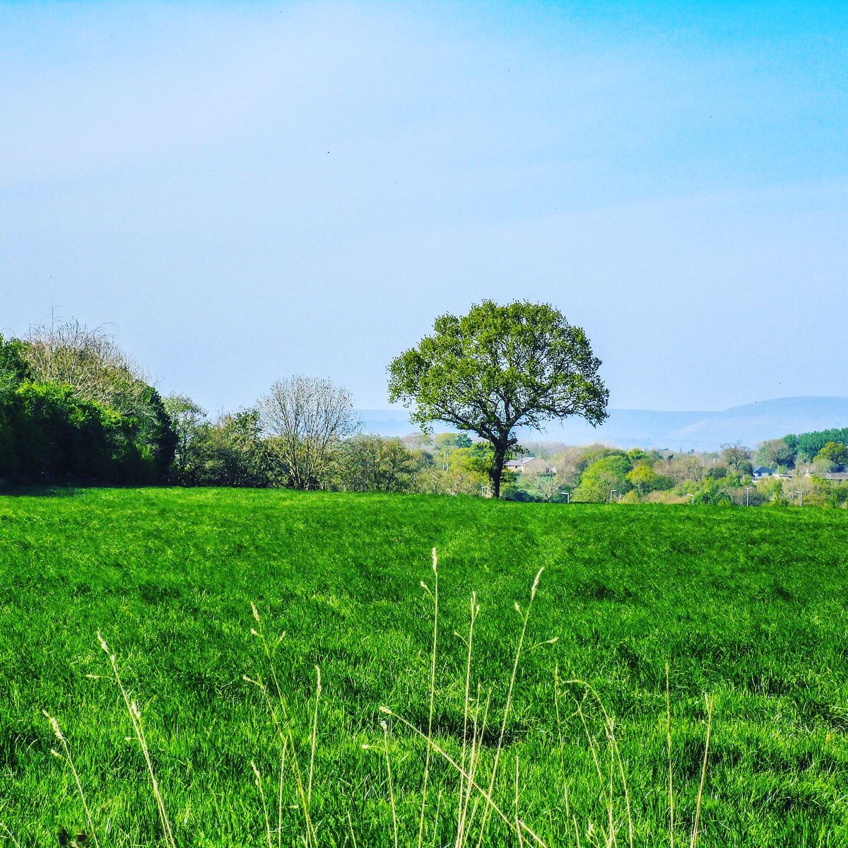 Stevo121979's tweet photo. Countryside near Higher Walton #higherwalton #Lancashire #pennines #fields #bluesky #landscape #landscapephotography #landscapephotographer #nature #naturephotography #naturephotographer #spring #sunshine #tree #canonphotography #canon #ixus190 https://t.co/eaAb0Hezth