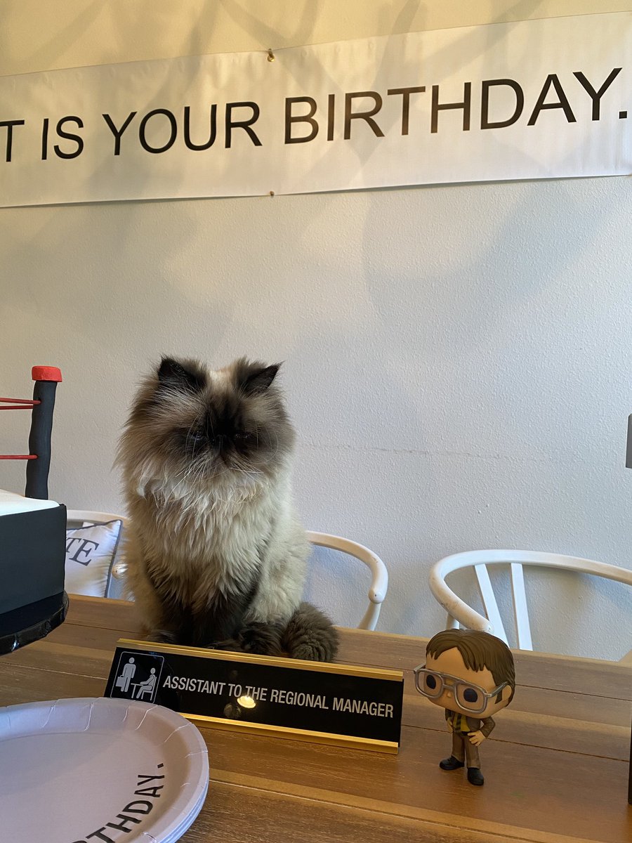FightOwensFight's tweet photo. Thanks for all the birthday wishes, everyone! 

I hope you guys are having as great a day as I am. 

This is what my amazing wife and kids had waiting for me today...
I’m a very lucky man. https://t.co/bBsbwOGas7