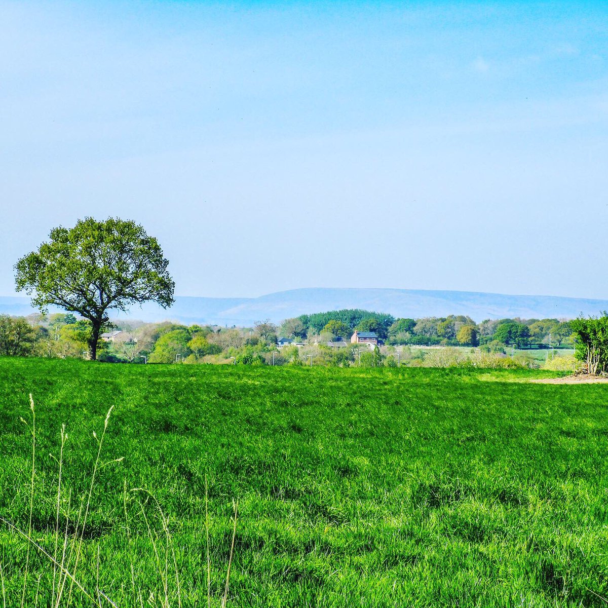 Stevo121979's tweet photo. Countryside near Higher Walton #higherwalton #Lancashire #pennines #fields #bluesky #landscape #landscapephotography #landscapephotographer #nature #naturephotography #naturephotographer #spring #sunshine #tree #canonphotography #canon #ixus190 https://t.co/eaAb0Hezth