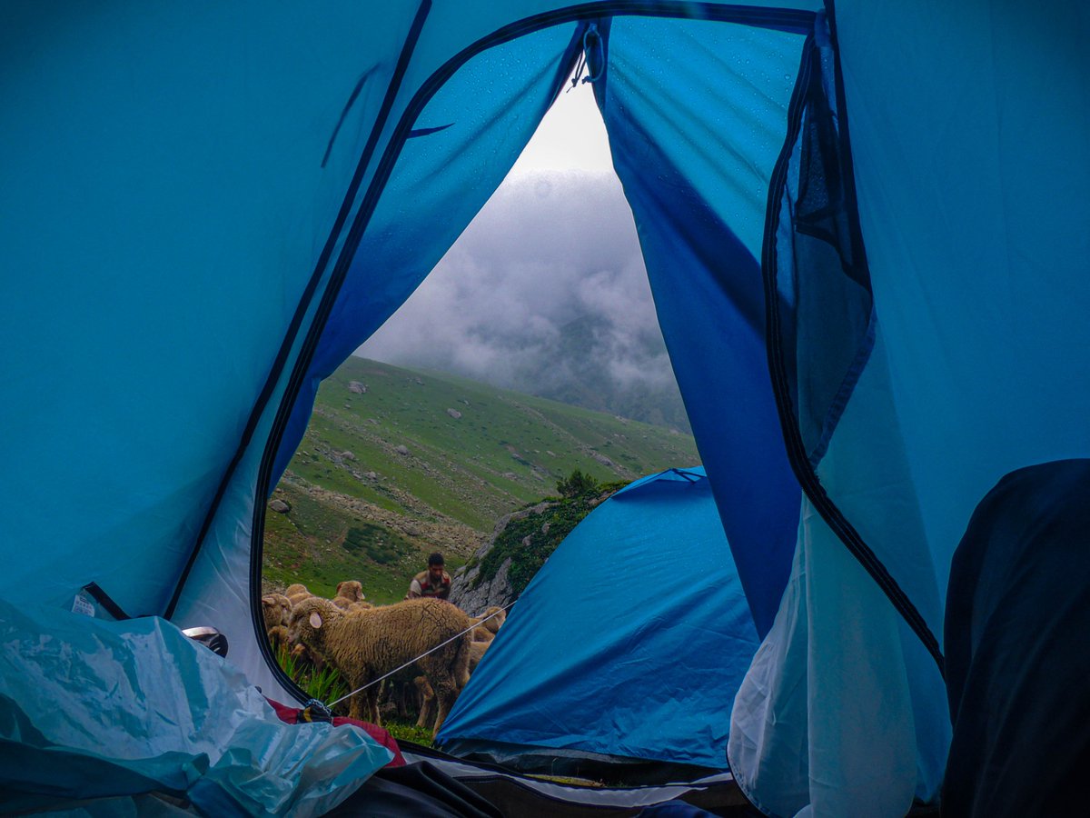 TTravelography's tweet photo. What if you wake up one day and find yourself surrounded by hundreds of sheep?

More stories coming soon 😍
#TheTravelography #KashInKashmir @jktourismofficial
#AlpineLake #Sheeps #KashmirValley #Kashmir https://t.co/AbZYptYZUf