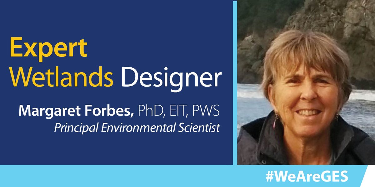 GESOfficial's tweet photo. GES’ Margaret Forbes, PhD, EIT, PWS is a Principal Environmental Scientist with over 20 years of experience. Contact Margaret and GES’ #Ecological Services team to help design #wetlands for treatment of #wastewaster and #stormwater! https://t.co/ziLOUpemyM #weareges #environment https://t.co/EOh3siQd2L