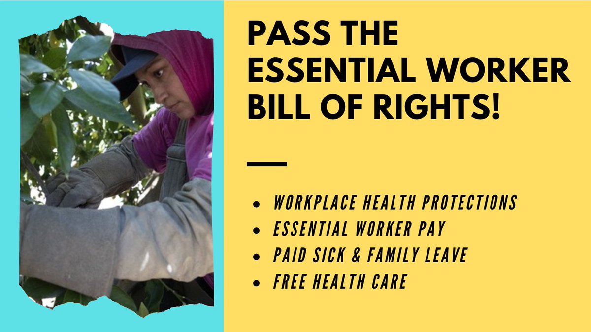 OxfamAmerica's tweet image. Food. Transit. Healthcare. Security.
Workers who provide these essentials are ESSENTIAL. #Covid19 has put them on the frontline, at great risk. They deserve protections. Call Congress TODAY to demand Essential Worker Bill of Rights: 855-300-3836. #EWBOR #ProtectEssentialWorkers