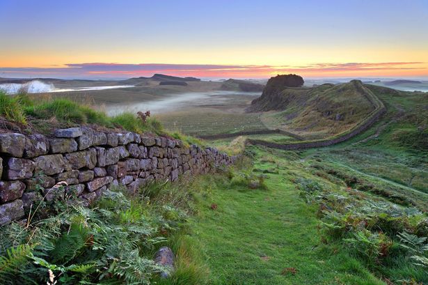 Whitelee Cottages tweet media