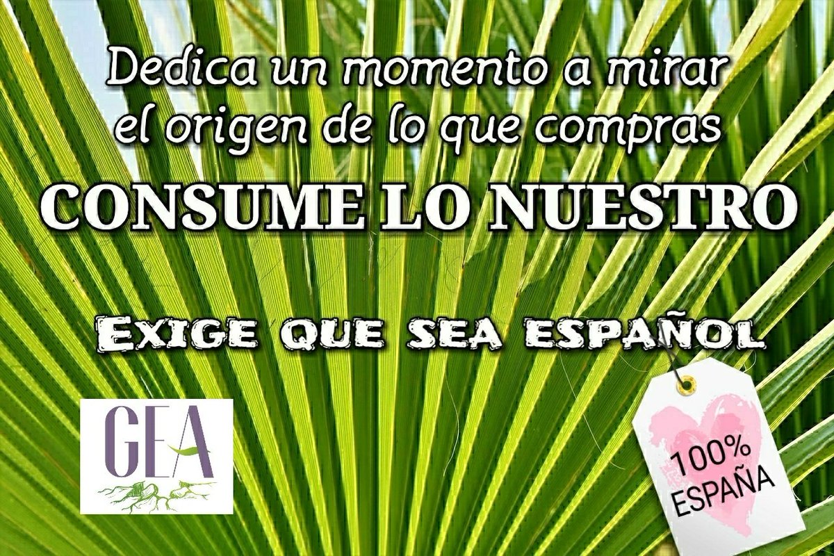 Gea De Mujeres (@geamujeres) on Twitter photo Hola a tod@s, necesitamos vuestra colaboración para hacer una campaña que anime a consumir productos locales con fotos de nuestr@s soci@s mostrando como trabajan ......
Si queréis compartir vuestra foto la podéis mandar al correo geademujeres@gmail.com o al tlf. 617 63 82 56. Hola a tod@s, necesitamos vuestra colaboración para hacer una campaña que anime a consumir productos locales con fotos de nuestr@s soci@s mostrando como trabajan ......
Si queréis compartir vuestra foto la podéis mandar al correo geademujeres@gmail.com o al tlf. 617 63 82 56.