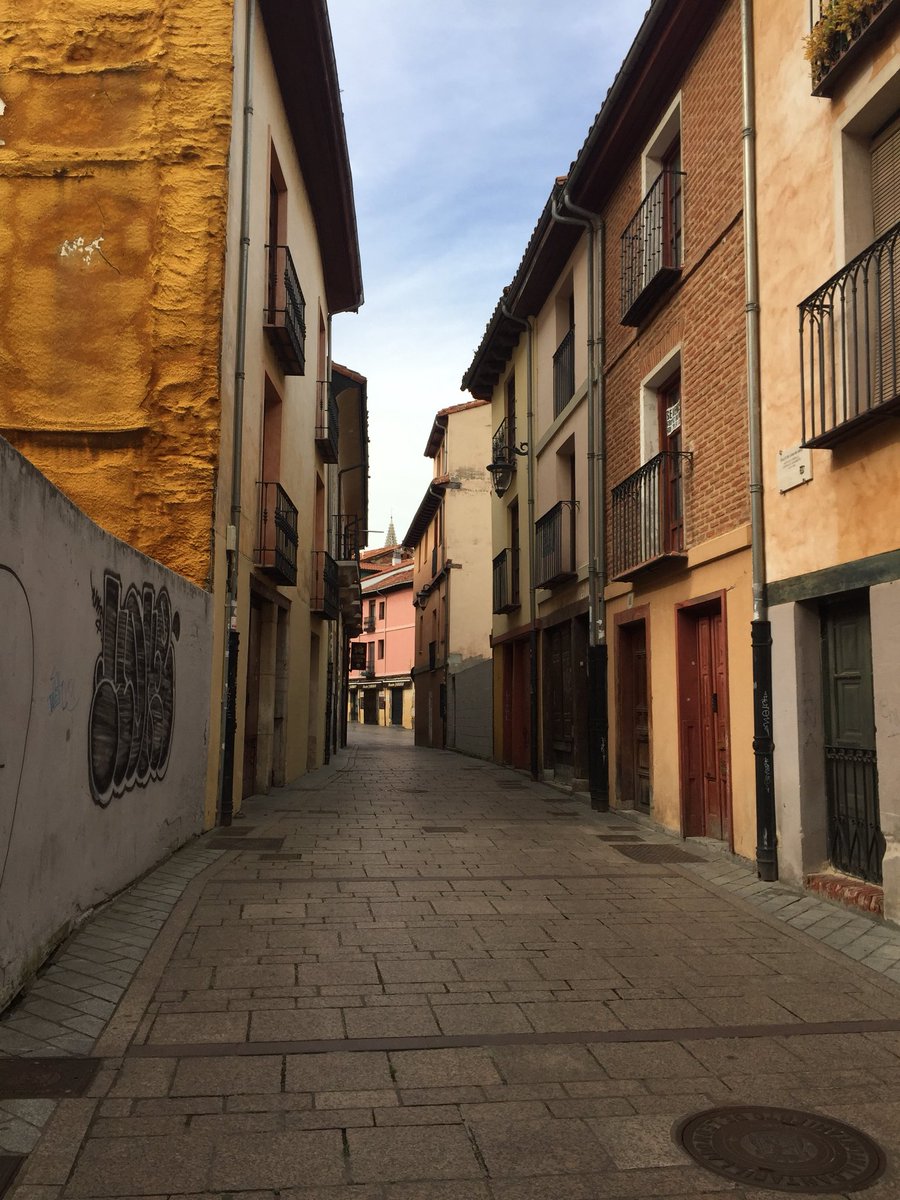quintanasergioo's tweet photo. Como me prestas, León❤️ https://t.co/UROEscqOkX