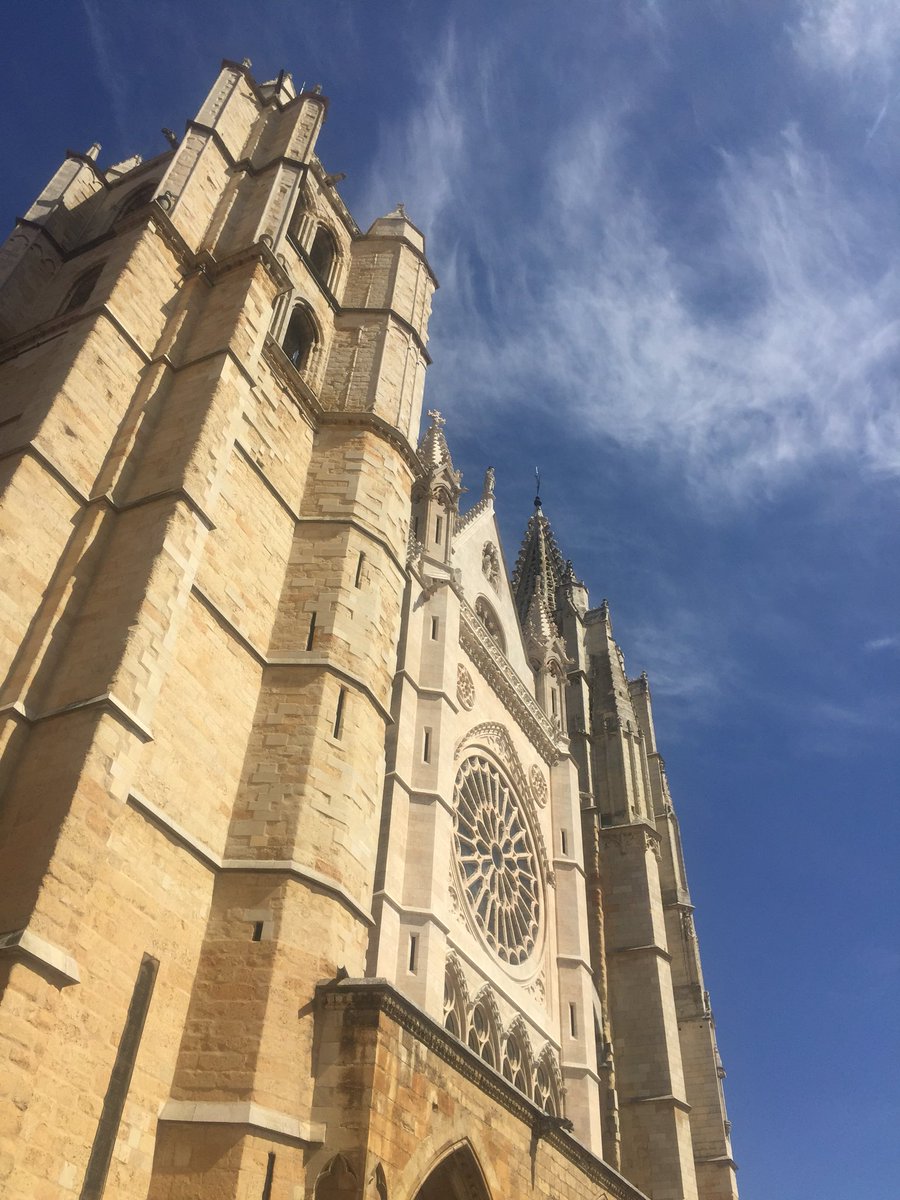quintanasergioo's tweet photo. Como me prestas, León❤️ https://t.co/UROEscqOkX