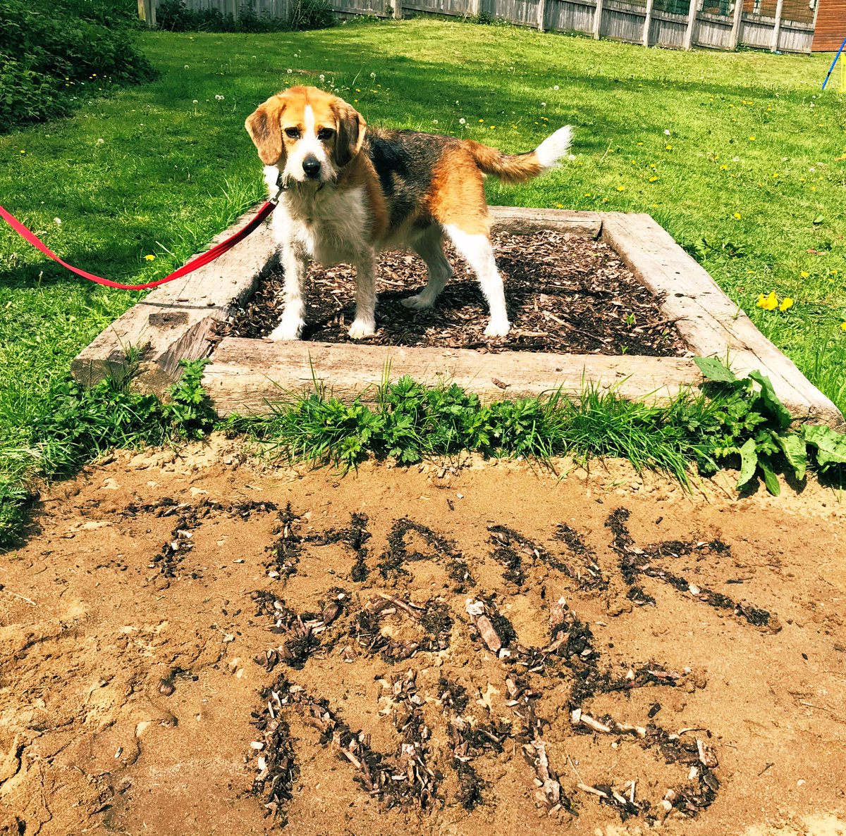 DogsTrust's tweet photo. We're proud to play a small part in supporting the #NHS by donating vital equipment incl. 120 surgical gowns, 300 masks &amp; 18 oxygen cylinders from across our rehoming centres. While our vet aren't carrying out routine procedures, we're really glad to see them put to good use 💛🐾 https://t.co/Fn3Xv40djt