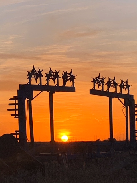 AgrellusFarm's tweet photo. Shallowwater, Texas ag pix by @AgrellusFarm e-commerce team member @Anthony34288105 Contact him if you're an ag inputs dealer or farmer who wants to buy seed, chemicals, fertilizer & irrigation parts--faster, easier and at better prices. #agrellus.farm #isavewithagrellus https://t.co/L8gNFA6p5m