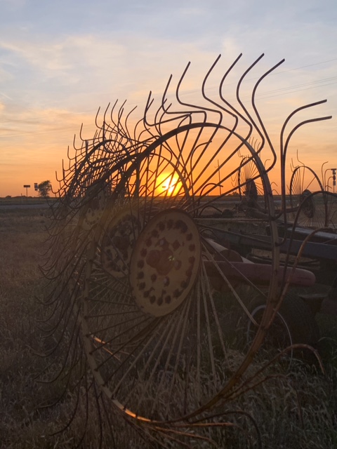 AgrellusFarm's tweet photo. Shallowwater, Texas ag pix by @AgrellusFarm e-commerce team member @Anthony34288105 Contact him if you're an ag inputs dealer or farmer who wants to buy seed, chemicals, fertilizer & irrigation parts--faster, easier and at better prices. #agrellus.farm #isavewithagrellus https://t.co/L8gNFA6p5m
