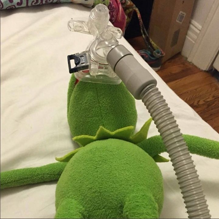 clickHabari's tweet image. Dah..! Kamati ya Maadili ya timu itakaa kikao kujadili namna ya uchezaji wa @fatma_karume kama impige faini au impe Adhabu kali hii ni baada ya kumchezea Rafu Mbaya sana ndugu @BaloziMtaa hali iliyopelekea Kulazwa katika chumba cha Wagonjwa Mahututi. 
#TWITTERVAR 🤣🔥🙌