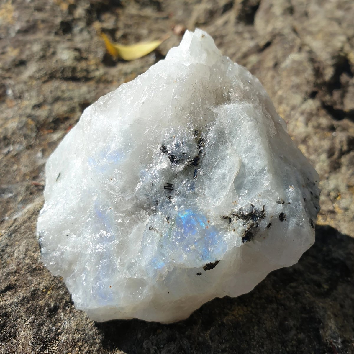 Hgwr — moonstone (not because of the name of the stone)