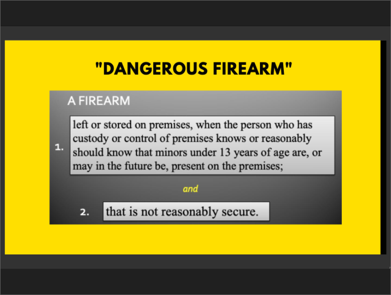ProsecutorsAGV's tweet photo. VIRTUAL SUMMIT: Prosecutors Respond to COVID-19
Emily Corwin of the Wayne County Prosecutor’s Office gives an overview on SAFE STORAGE. Because locking up guns saves lives.
@BronxDAClark #guns #gunviolence #PAGV https://t.co/7stcn0rX8D