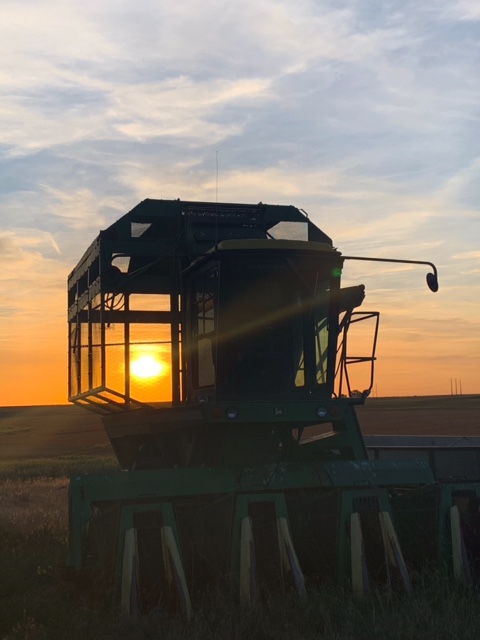 AgrellusFarm's tweet photo. Shallowwater, Texas ag pix by @AgrellusFarm e-commerce team member @Anthony34288105 Contact him if you're an ag inputs dealer or farmer who wants to buy seed, chemicals, fertilizer & irrigation parts--faster, easier and at better prices. #agrellus.farm #isavewithagrellus https://t.co/L8gNFA6p5m