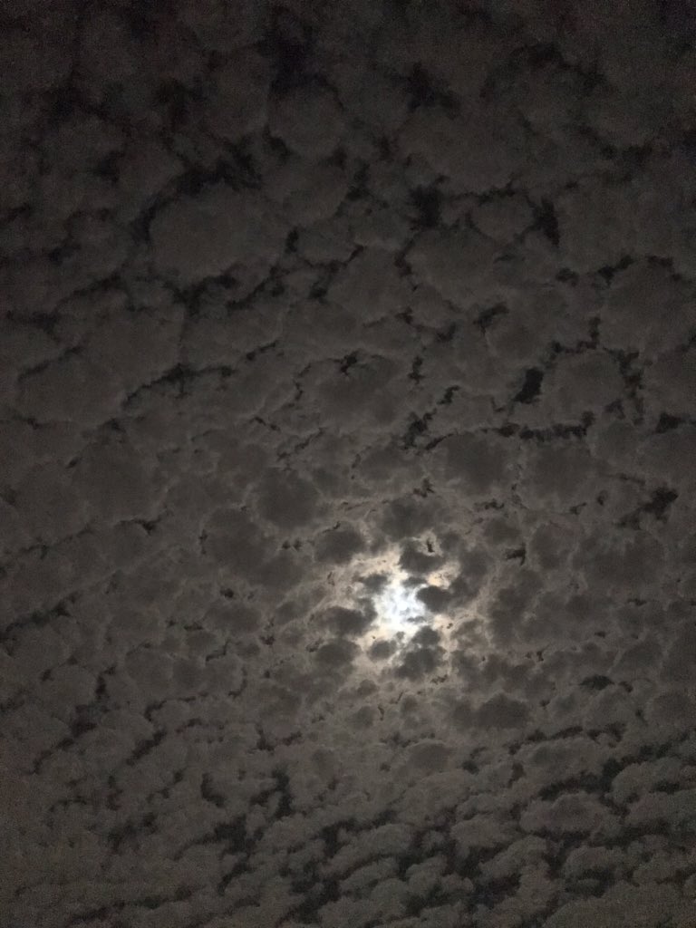 x_M664's tweet photo. Moonlight🌕💙💙’. https://t.co/TXUXKGAOKQ