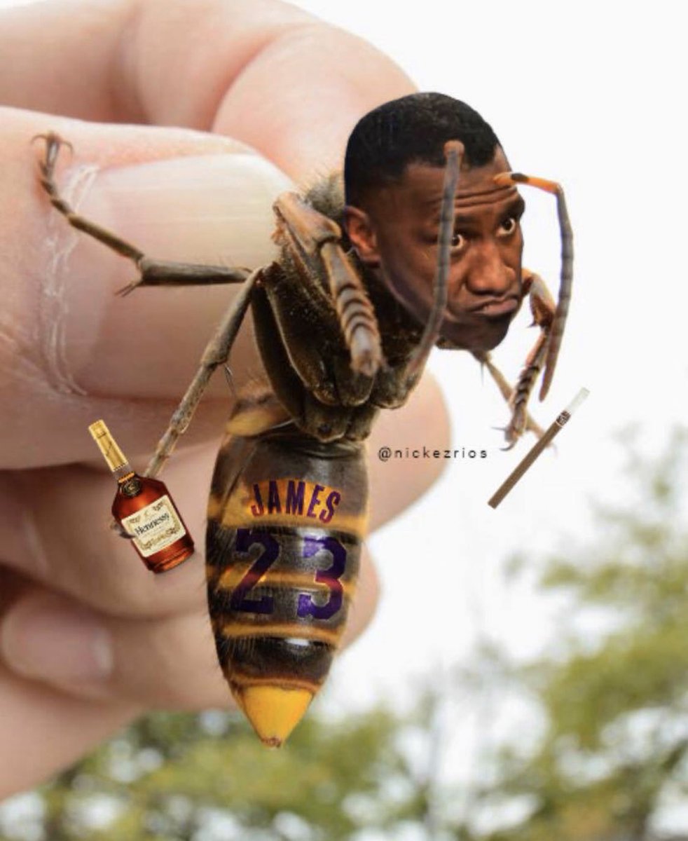 ShannonSharpe's tweet photo. 🤣🤣🤣🤣 https://t.co/k3lrGhoABH