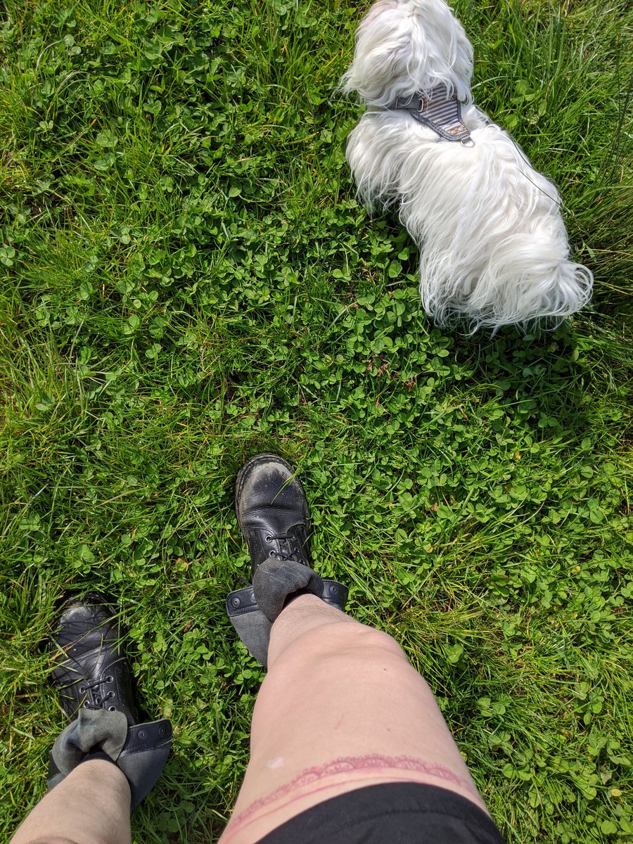 ireallydocarey's tweet photo. Shorts! 😳 https://t.co/OCHQEPcqYZ