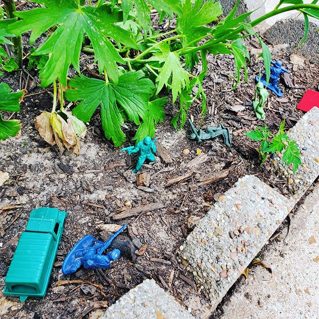 Lisa_Stauber's tweet photo. Looks like the whole family is enjoying the garden today!
.
.
#boymom #letthembelittle #childhoodmemories #gooutsideandplay #springtime #frontyardgarden #growfoodnotlawns #texaslife #zone9garden #texasgardening #momofboys #happy #green #momlife https://t.co/naCBSJwmhq https://t.co/V5yTWpT9Ux