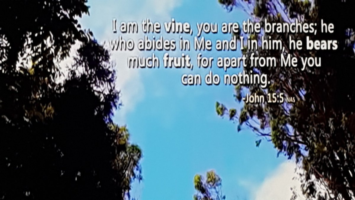 AnthonyJamesP1🇨🇦 Pray for Israel🇮🇱 Ukraine🇺🇦 (@anthonyjamesp1) on Twitter photo 