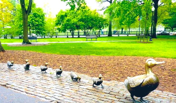CardiacDrop's tweet photo. Happy Thursday and some pics of the always relaxing and scenic Boston Public Gardens and Duck pond ๐ฆ ...
#ScenesFromTheBean ๐ https://t.co/hWEOSkcJ2I