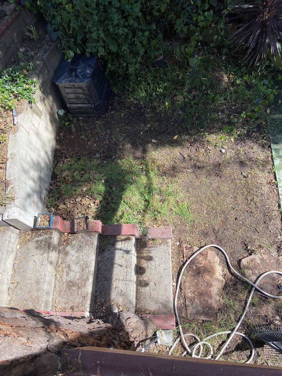 Antifa Cavalry On Twitter Just Ripped All The Grass Out Of My Lawn By Hand Because Fuck Lawns That S Why