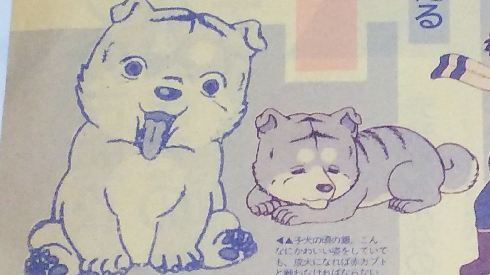 中原伸明 בטוויטר 銀牙流れ星銀 銀牙 アニメ版の銀牙 子犬の銀です 可愛いですよね こんな幼い時に 赤カブトと 出会っていたんですね リキが助けなければ 銀は 赤カブトに殺られていたのかな 中原伸明 בטוויטר 銀牙流れ星銀 銀牙 アニメ版の銀牙 子犬の銀です 可愛いですよね こんな幼い時に 赤カブトと 出会っていたんですね リキが助けなければ 銀は 赤カブトに殺られていたのかな