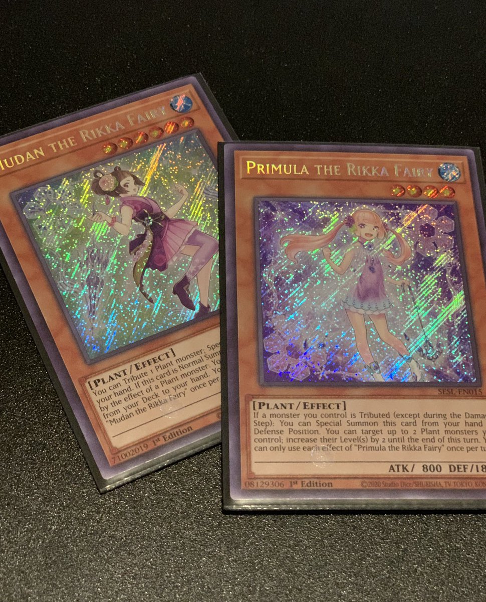 prodigy_unfound's tweet photo. Waifu cards from #secretslayers #rikkafairy #yugioh #yugiohtcg #collector #KONAMI https://t.co/yfHzUGYTRZ