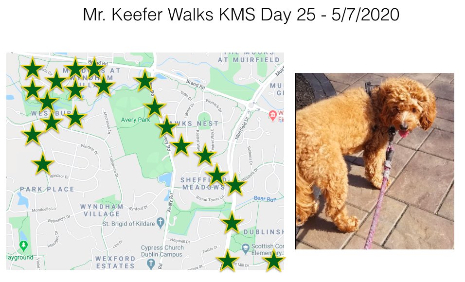 KMSRoom229's tweet photo. Day 25 of #KMSWander is complete. Juno and I found some new bike paths to go along with some new streets. Saw lots of graduation signs for former @KarrerMS students 😃 https://t.co/VY4D1jg2YS