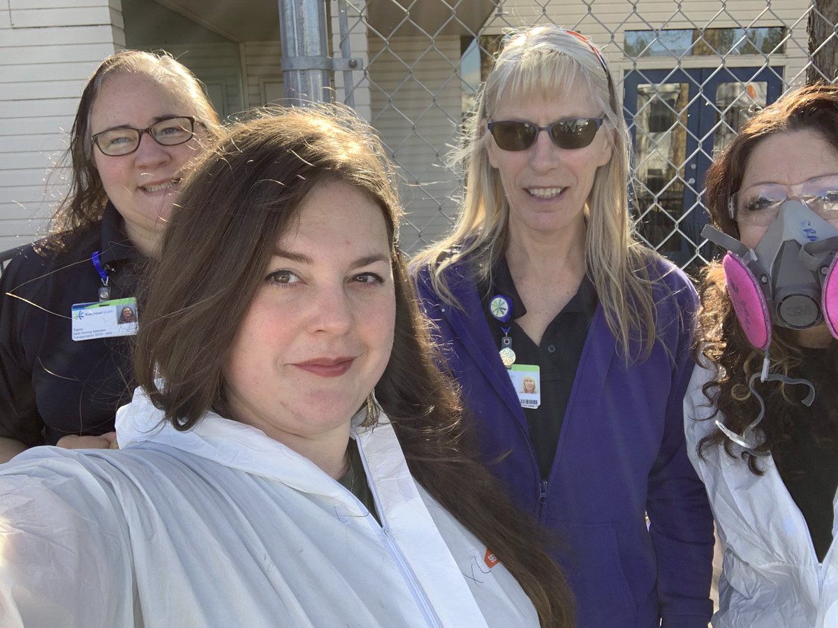 AngelaBlessin15's tweet photo. SERVPRO of Coeur dβAlene had the chance to give back to the community today by fogging and wiping down their transportation vehicles. Thank you Kootenai Health for allowing us to support you! COMMUNITY MATTERS!!! #SERVPROcda #oneteam #transportation #disinfecting #fogging https://t.co/Pqrx63ludG