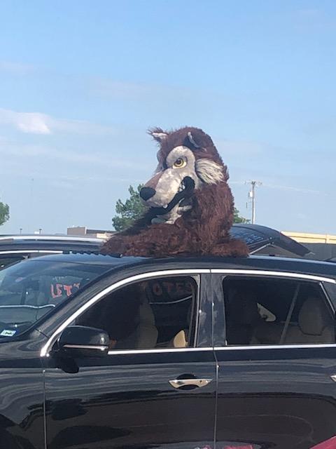 TimberviewCheer's tweet photo. MISD Rocks!!! Best feeder pattern!! Parade was a success!!  @TimberviewHigh @CobleMS @huskyproud https://t.co/gZ2NhGUfQ2