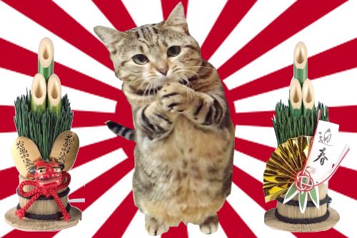 tickle_tickle24's tweet photo. 旭日旗を守る事は伝統を守る事

祝いや祭りで使われる
紅白幕を守る事にも繋がる

伝統を守ると国も丈夫になる

和の文化を愛でる用、お祝い用やモチベアップ等、よろしければ,お写真どうぞ

#アレンジ旭日旗 #旭日旗 #和文化 #RisingSunflag #GoodLuck #縁起担ぎ #festival #coolflag #greetingcard https://t.co/nGZ9wOgFbQ