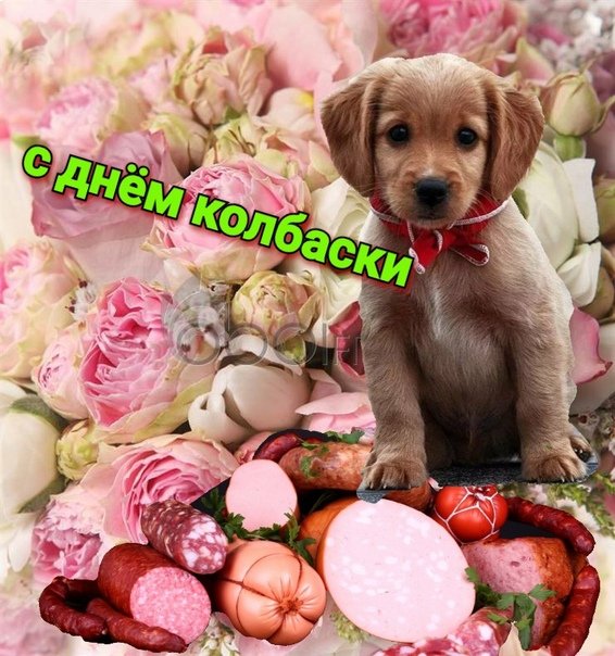 самурай шуруповёрт (@yourbiglunch) on Twitter photo 