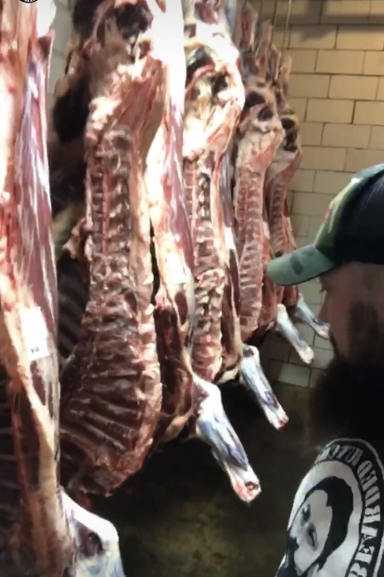 Hawkeye1797's tweet photo. 6 Bison; cooler dry-aging
#bison #thenativebeef 🇺🇸 https://t.co/LYZcT12F9Q