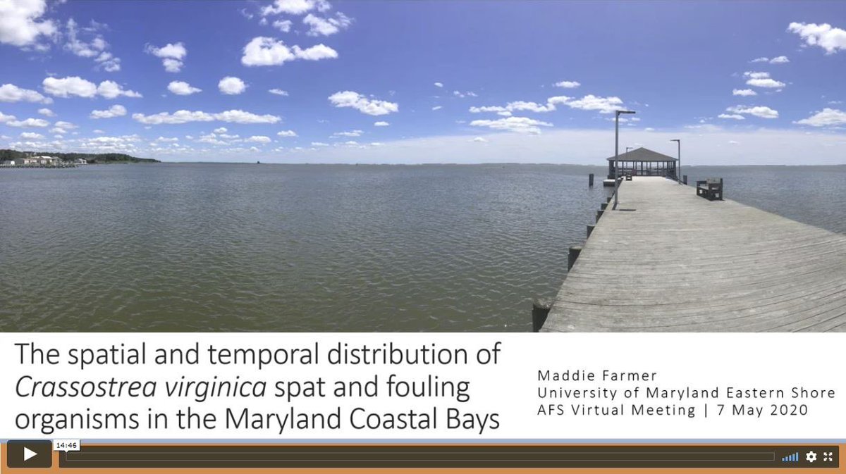 AFSvirtspring's tweet photo. Next up is Assessment of the Spatial and Temporal Distribution of Crassostrea virginica Spat and Fouling Organisms in the Maryland Coastal Bays #AFSvirtualspring #fishsci @UMESNews https://t.co/BGDFrx4RPW
