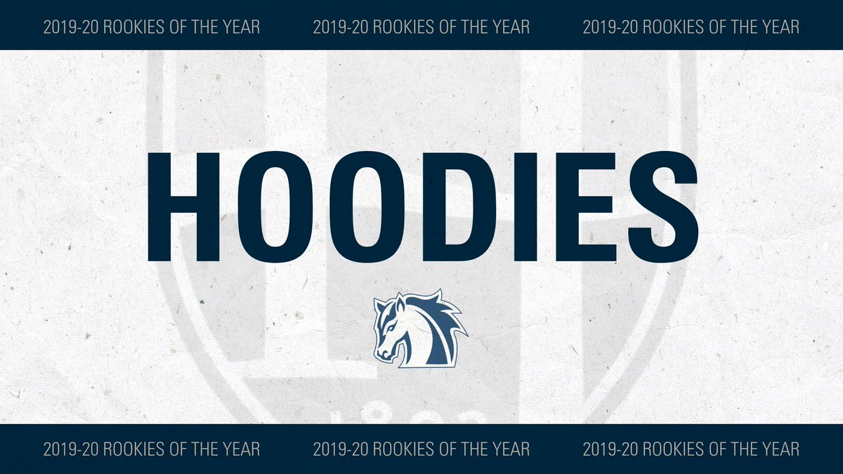 Hood College Athletics tweet media