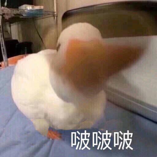 baixiangba's tweet photo. 大家各自都有自己的禁忌话题，谁比谁高贵啊@特朗普 https://t.co/wcxRRYQMPa