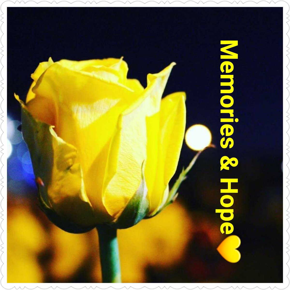 Our 5th year anniversary walk of hope would have been happening this Saturday morning due to present circumstances this has been cancelled but please join us in a virtual walk round your garden or light a candle to all those who have lost also remembering our veterans this year.