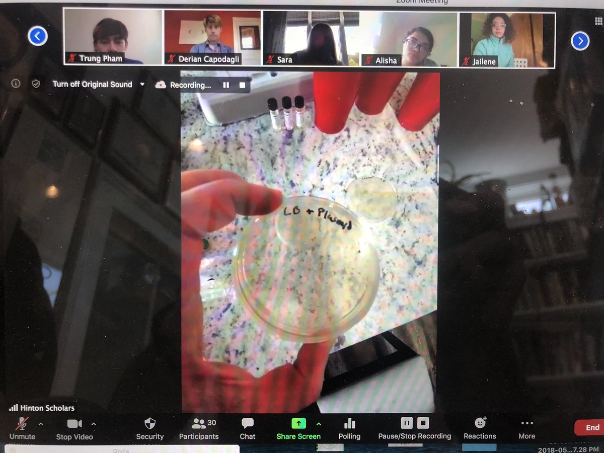 neotech03's tweet photo. @CJBeneduce leads virtual transformations lab. 23 #hinton20 #apbio students participate live. https://t.co/jQrDrdHRXA