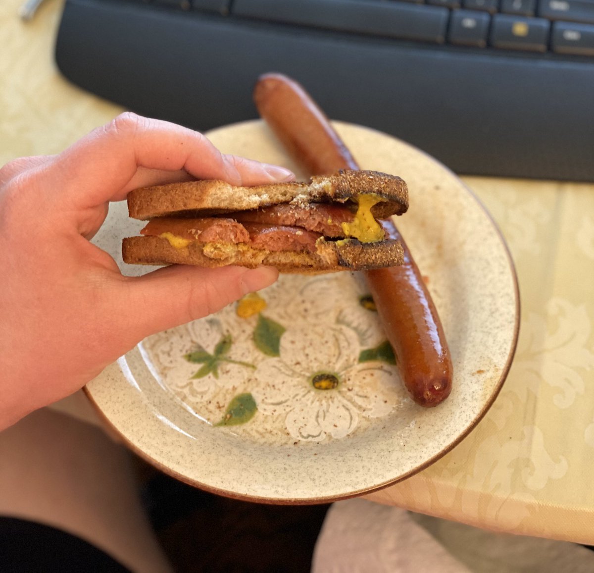 SirGregVII's tweet photo. @scottyfabo hey fabo, ran out of HD buns today so used 2 pieces of bread (kinda answers the is a hot dog a sandwich question), but wanted to get your thoughts and see what else you think are respectable alternatives of buns. Thanks! https://t.co/amHQbUIakt