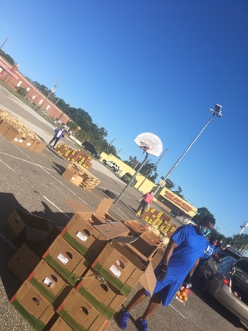 gos_sgrho's tweet photo. Another day of community service! We joined 1st Coast Nat'l Pan-Hellenic Council & Sen. Audrey Gibson & Aaron Bean 2 distribute food at Farm Share Food Drive. Thanks 2 generous donations hundreds of families will have food. #SigmaGammaRho #SGRho #GammaOmicronSigma #GOSshine https://t.co/fqGtvkGN7m