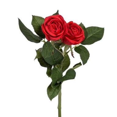 розы 1 6. красные розы. розы 1 6. розы на длинной ножке. красные розы.