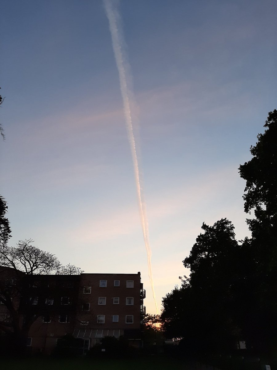 Richie The Cow ✊🏼✊🏾✊🏿 tweet media