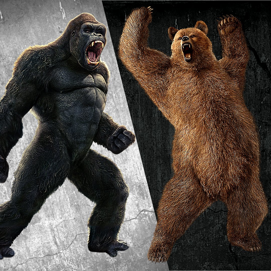 SDResponse's tweet photo. POLL: Zombies attack... who do you want on your team?
#SilverbackGorilla #Grizzlybear #sheepdogresponse #zombieapocalypse #zombiesattack https://t.co/D6c9uXblCD