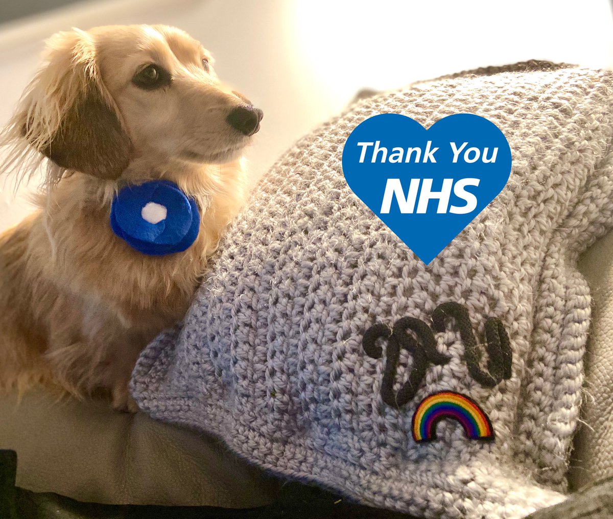 HuxandRosa's tweet photo. Huxley was outside for the #clapforourkeyworkers tonight in his NHS rosette from @teamdogcoats Proud #nhssupawters #nhsblue #nhsheroes #nhs #stayhome #staysafe #dogsofisolation #keyworkers #nhsstaff #isolation #dogsoftwitter #dogsduringlockdown #dogs https://t.co/nkv08QvSUG