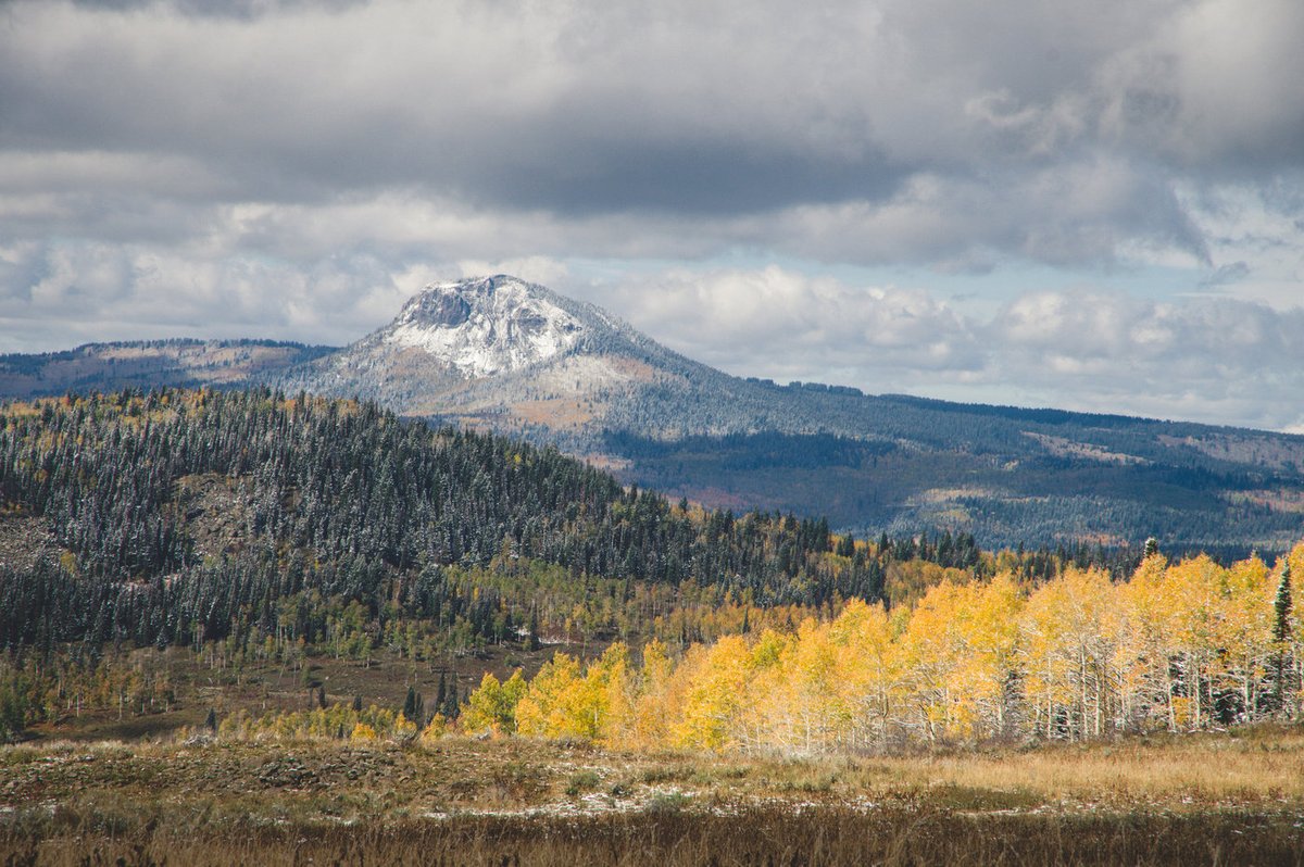 PaulBabaz's tweet photo. .@sendavidperdue THANK YOU for supporting Senate Bill 3422, the Great American Outdoors Act! This landmark legislation will provide billions in funding to increase public access for sportsmen and women! #LWCF #ROPA #Conservation https://t.co/FKHo7Jtc4Z