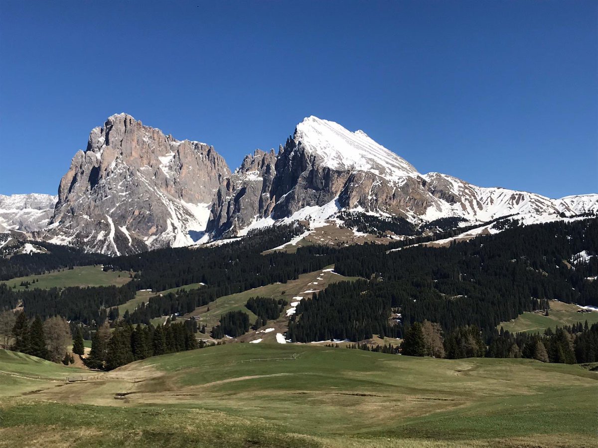 Castelrotto2's tweet photo. Primavera alpina https://t.co/6ArkGmuH7B