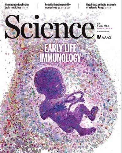 Seth Thomas Scanlon (@immunoeditor) on Twitter photo This week's <a href="/ScienceMagazine/">Science Magazine</a> is a special issue I organized on #EarlyLife #Immunology! Check it out!!!
Intro: bit.ly/Sci_abc3140
Rev 1: bit.ly/Sci_aaz9330
Rev 2: bit.ly/Sci_aba0478
Rev 3: bit.ly/Sci_aaz1960
Rev 4: bit.ly/Sci_aaz9447 This week's <a href="/ScienceMagazine/">Science Magazine</a> is a special issue I organized on #EarlyLife #Immunology! Check it out!!!
Intro: bit.ly/Sci_abc3140
Rev 1: bit.ly/Sci_aaz9330
Rev 2: bit.ly/Sci_aba0478
Rev 3: bit.ly/Sci_aaz1960
Rev 4: bit.ly/Sci_aaz9447