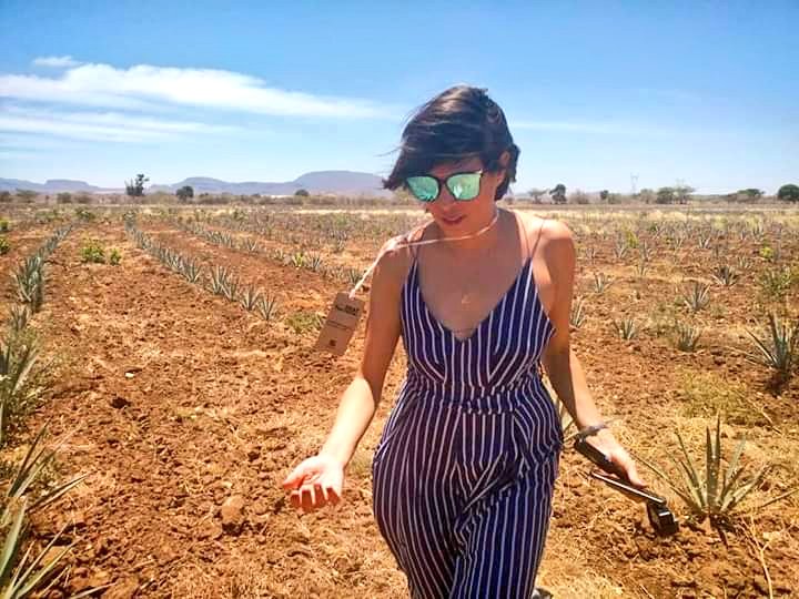 colorido_bicho's tweet image. #MeDeclaroCulpable por ser impredecible, jugar hasta el final, enredarme y no solo c/mi cabello. 
Por querer profundizar hasta las últimas consecuencias en una hoja en blanco.
Por contarles de mi🇲🇽, de su cielo, q es interminable pero q dsd esa tierra tequilera parece alcanzable.